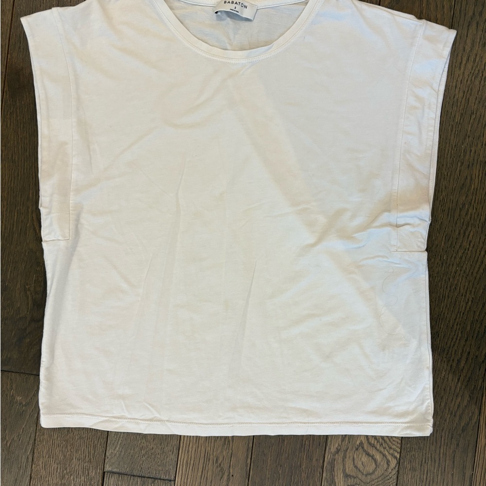 Aritzia Elevated White Tee